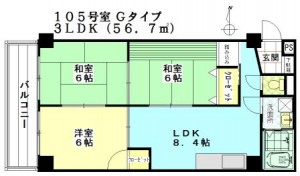 Ｇタイプ105 カラー